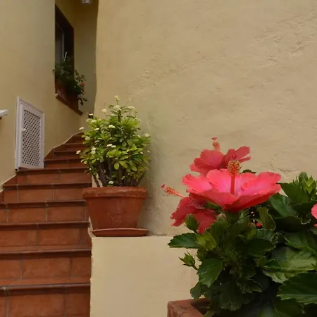La Molina Casa